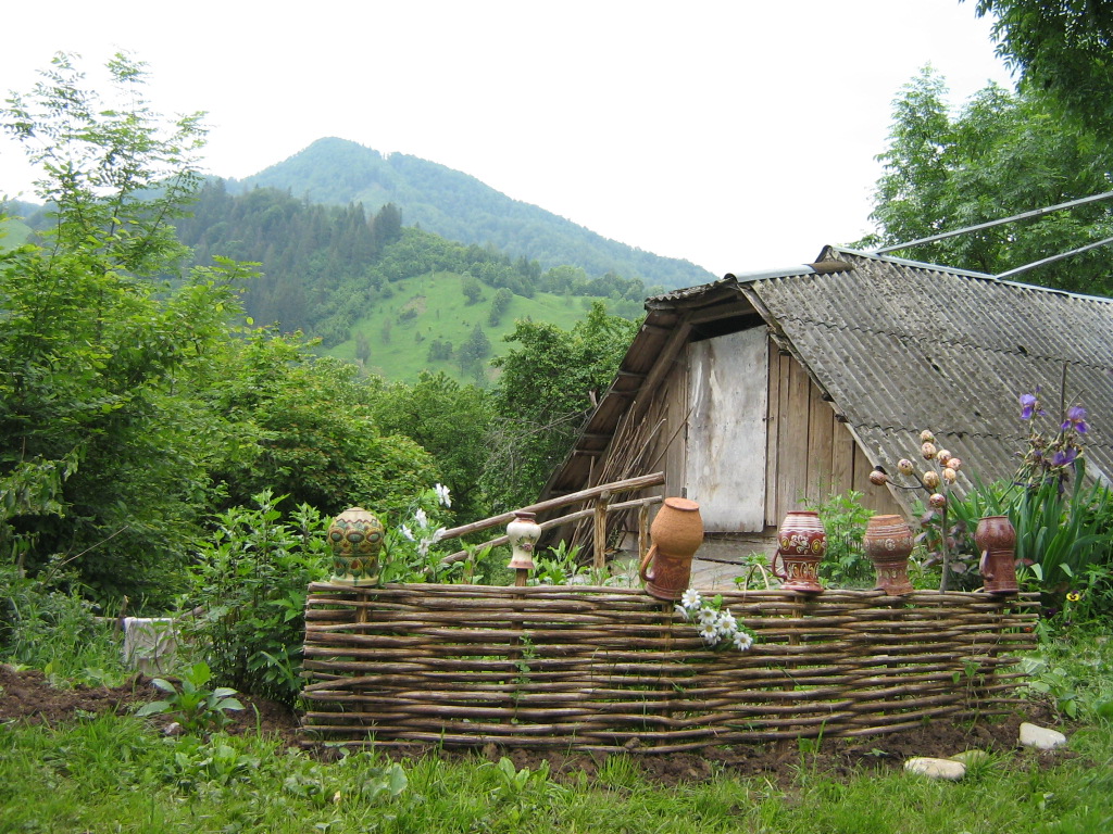 Carpathian village near Kosiv